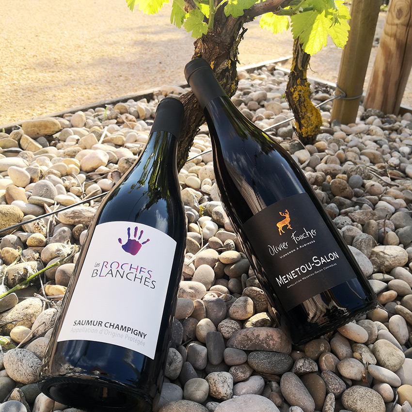 Vins rouges du Val de Loire