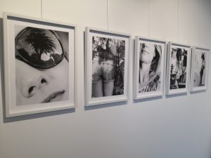 Exposition Pascal MIRZA