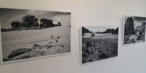 Algérie Expo Photos